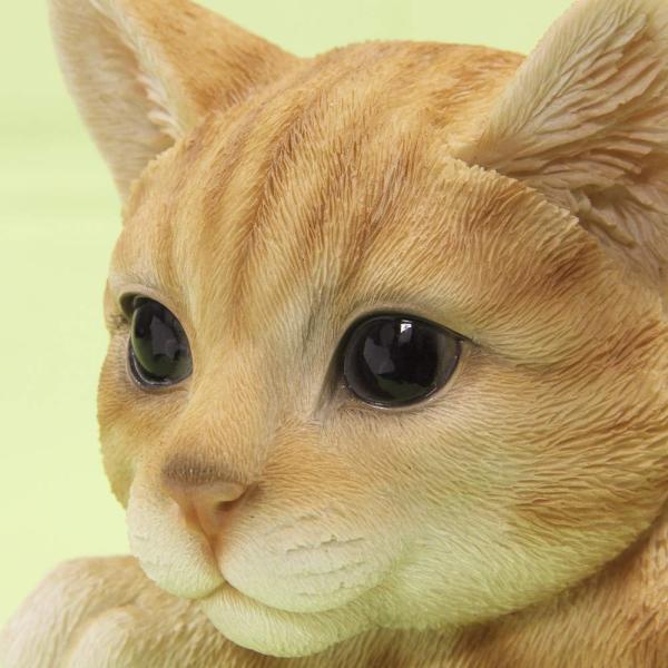 まるで本物かわいい猫ちゃん茶トラ セール特価品 お得な２匹セット