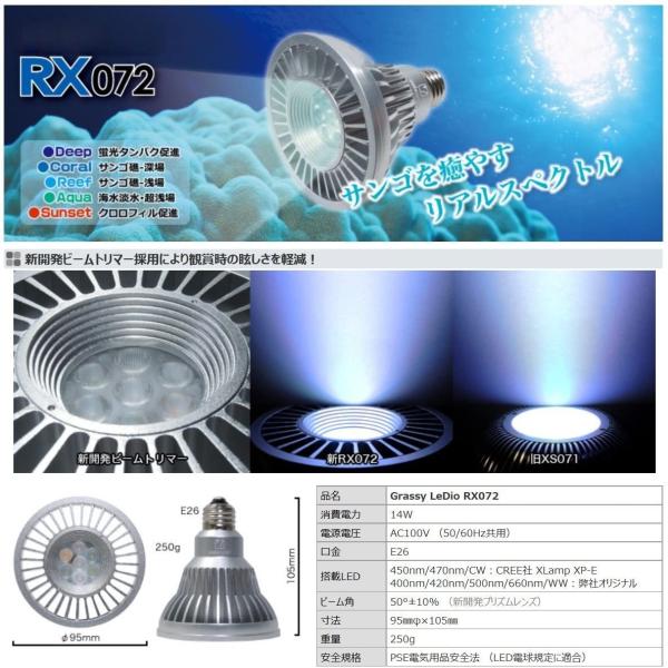 ボルクスジャパン グラッシーレディオ Rx072 リーフ Drscgmcnanded In