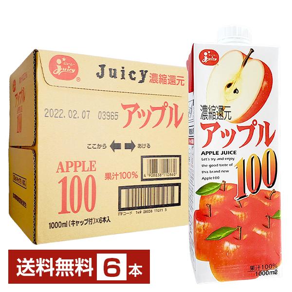 ジューシー アップル100 濃縮還元 1L 1000ml 紙パック 6本 1ケース