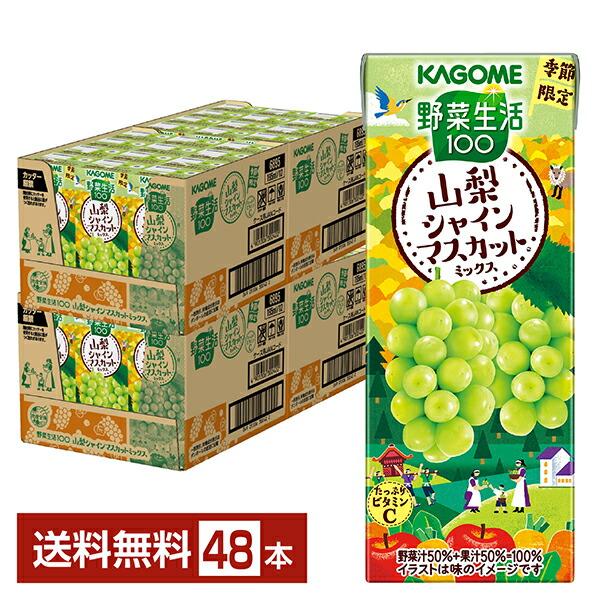 数量限定 カゴメ 野菜生活100 山梨シャインマスカットミックス 195ml 紙パック 24本×2ケース（48本）送料無料