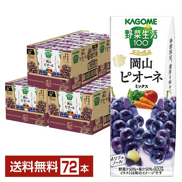 野菜生活100 季節限定 本日の逸品 岡山ピオーネミックス カゴメ 195ml