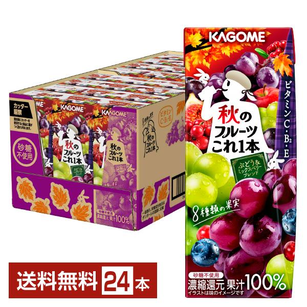 季節限定 秋のフルーツこれ1本 ぶどう＆ミックスベリーブレンド カゴメ 200ml 紙パック 24本 1ケース 送料無料