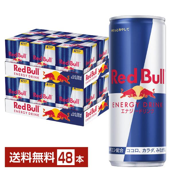 Red Bull 250ml x 24本　2ケース　合計48本 レッドブル（RedBull） レッドブルジャパン エナジードリンク 250ml 缶
