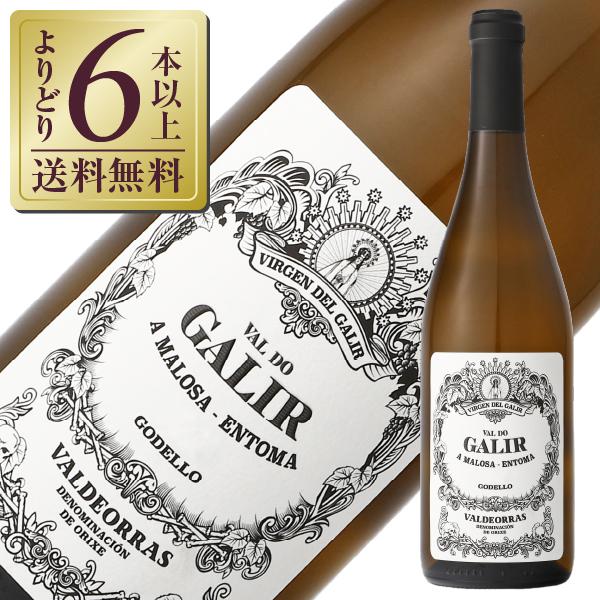 白ワイン スペイン ビルヘン デル ガリル バル ド ガリル ゴデーリョ 2025 750ml