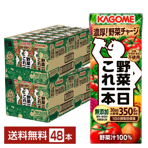 カゴメ 野菜一日これ一本 ( 200ml*48本入 )/ 野菜一日これ一本 ( 一日分の野菜 1日分の野菜 野菜100％ 紙パック )