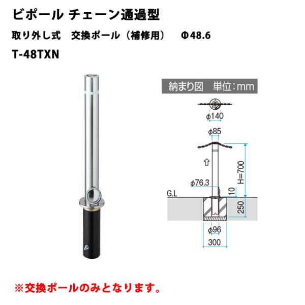 三協アルミ ビポール F48TE 南京錠付 2本セット 埋込式 車止め 建築資材 三協アルミ 車止めポール ビポールBP チェーン通過型 取り外し式 交換