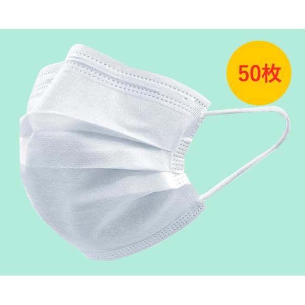 }XN 50 ĝă}XN 3w\ ECX򖗑΍ s ΏۊO