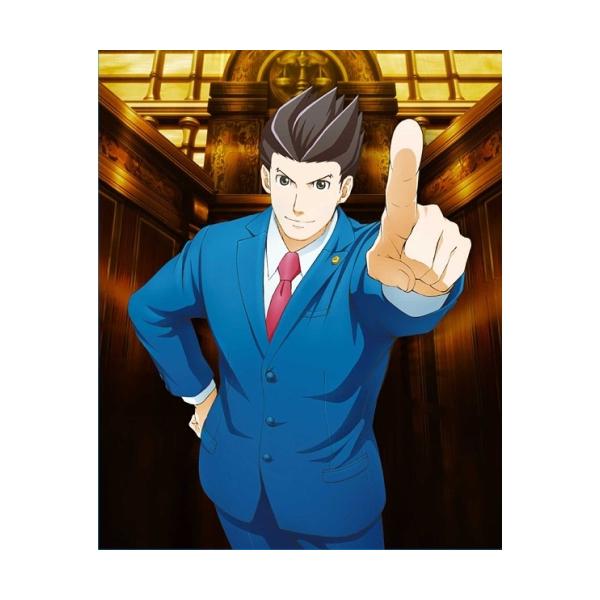 逆転裁判 その「真実」、異議あり！ 2 DVD 全巻 セット アニメ 梶裕貴 逆転裁判 その「真実」、異議あり！ 2 DVD 全巻 セット アニメ