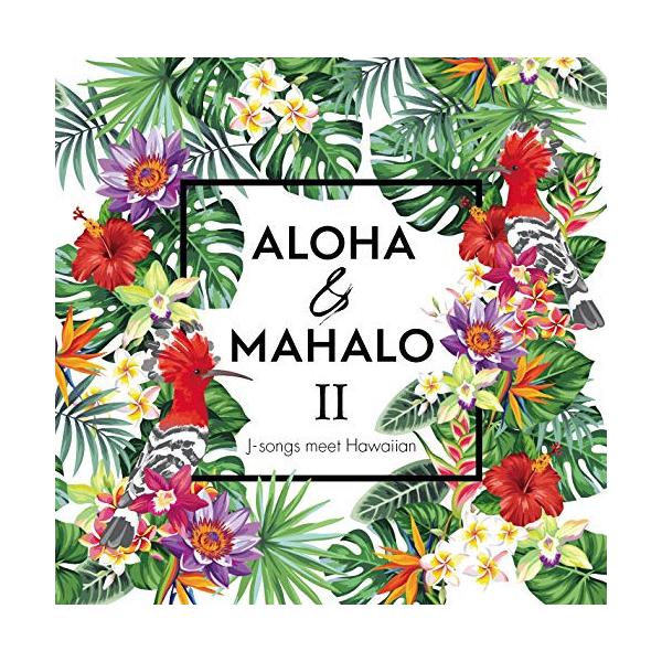 CD/オムニバス/ALOHA &amp; MAHALO II J-songs meet Hawaiian