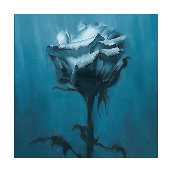 waterweed Deep inside + Unknown best CD