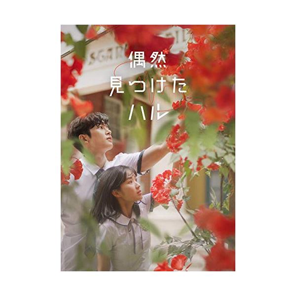 DVD/海外TVドラマ/偶然見つけたハル DVD-BOX1【Pアップ