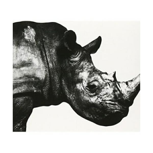 新品未開封　Mr.Children 1992-2010 4枚セット Amazon.co.jp: Mr.Children 1992-1995: ミュージック