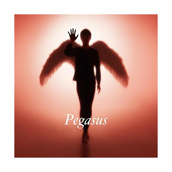 CD/布袋寅泰/Pegasus (通常盤)