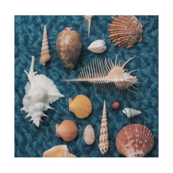 [Release date: July 5, 2017]Spitz (スピッツ すぴっつ)2017年7月5日 発売2006年にリリースされまたたく間に大ヒットを記録した『CYCLE HIT』の2タイトル。 今回スピッツ結成30周年を記念して...