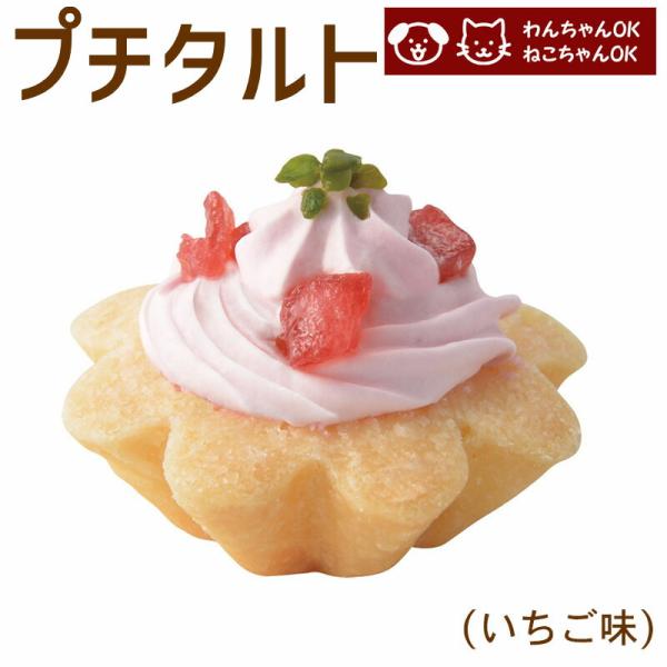 犬用 猫用 誕生日 ケーキ プチタルト 苺 ペット用 誕生日 記念日