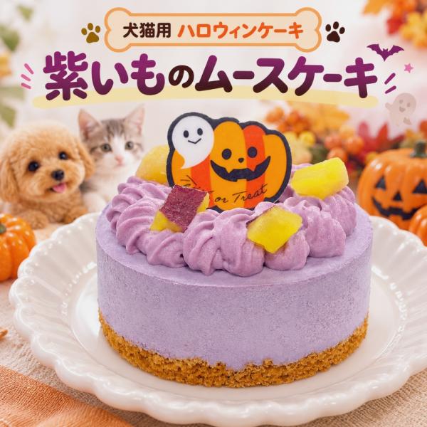 犬猫用 紫いものムースケーキ ハロウィン 季節限定 犬用ケーキ 猫用ケーキ ペットケーキ 愛犬 愛猫