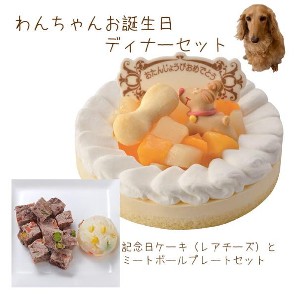 わんちゃんお誕生日ディナーセット 記念日ケーキレアチーズとミートボールプレートのセット