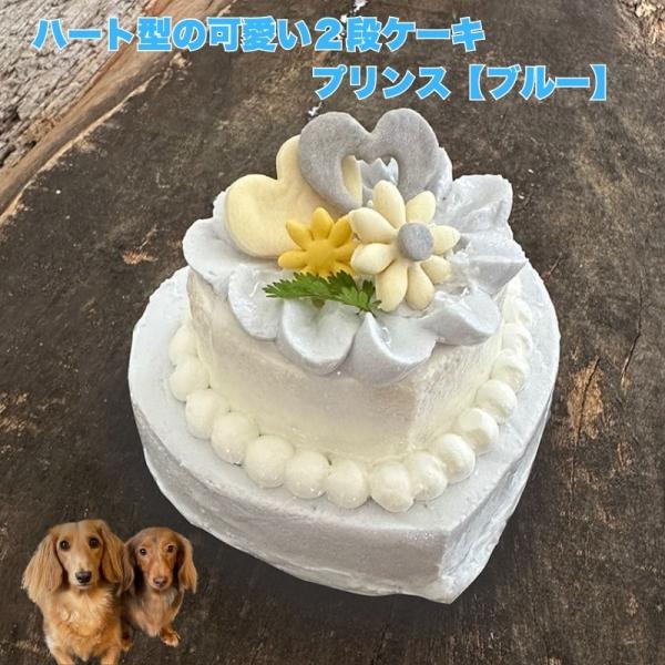 ハート型の可愛い2段ケーキ プレジール プリンス（ブルー） ネームプレート付き 犬用ケーキ  わんちゃん用ケーキ バースデーケーキ