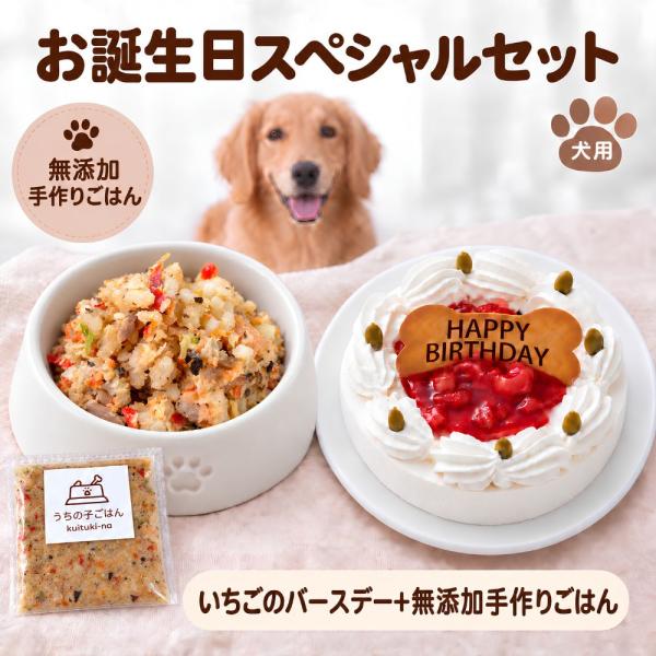 犬 誕生日 ケーキ コミフ いちごケーキ お誕生日ごちそうセット バースデーケーキ ケーキ＆ごはん 鮭チャーハン 手作り犬用ごはん 無添加