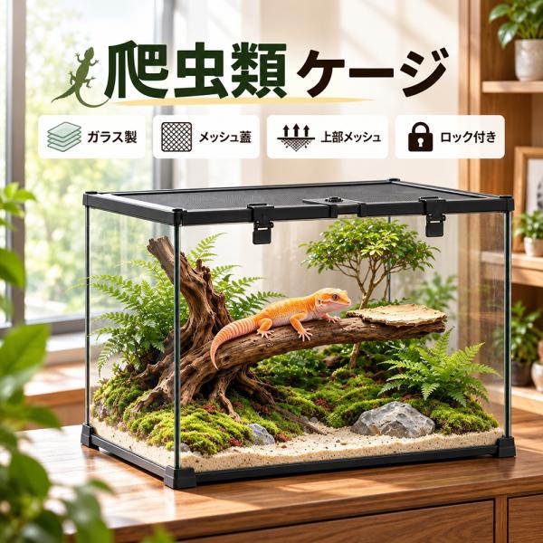【3サイズ展開】爬虫類 ケージ 飼育ケース 幅30cm 幅50cm ガラスケース ガラス製上部メッシュ メッシュ蓋 ロック付 360°クリアビュー 脱走防止 トップオープン