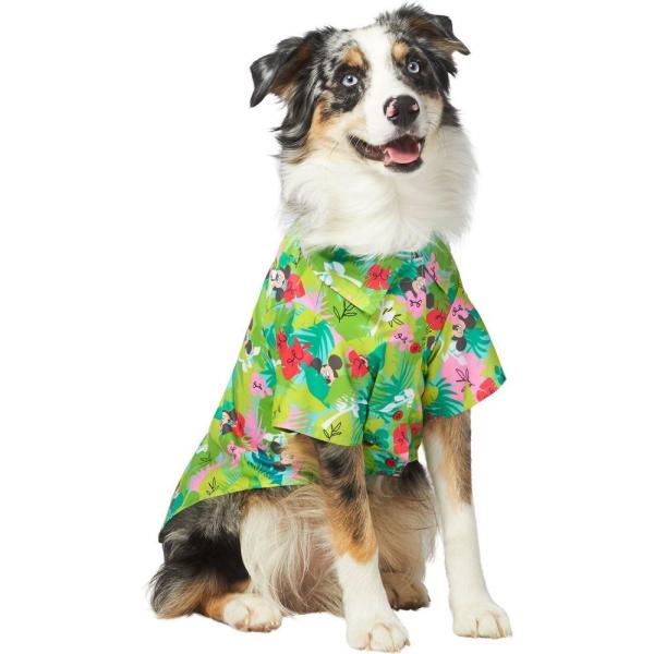 ディズニー 猫 グッズの人気商品 通販 価格比較 価格 Com