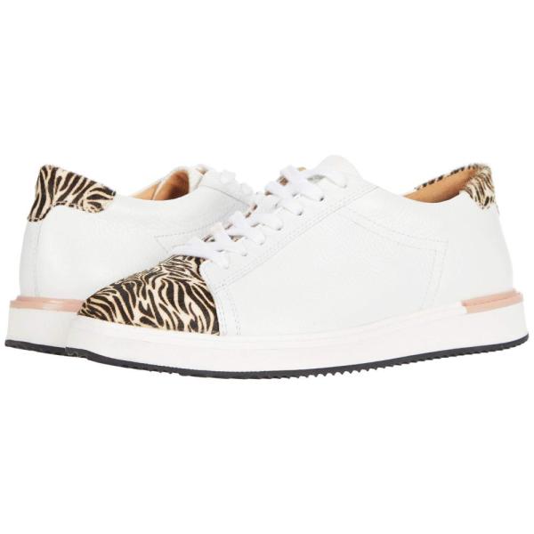 レディーススニーカー ハッシュパピー Hush Puppies スニーカーの人気商品 通販 価格比較 価格 Com