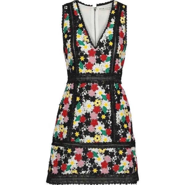 ワンピース Olivia Lace Dress ミニ丈 アンド Mini レディース Zula Alice アリス Guipure Lo Ffb109bed2 フェルマート Black 2号店 ワンピース ドレス Olivia オリビア Fermart