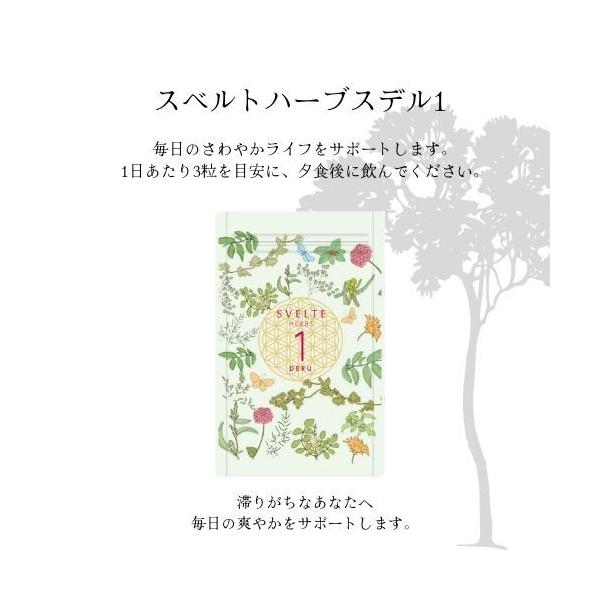 fernabell_fn-04-0010_1