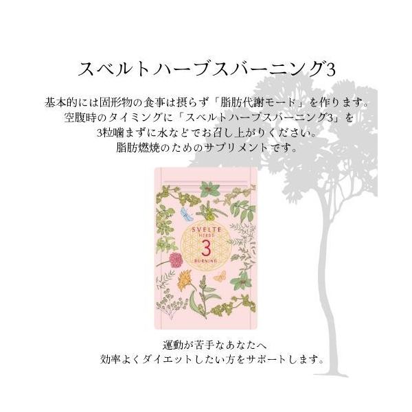 fernabell_fn-04-0011_1