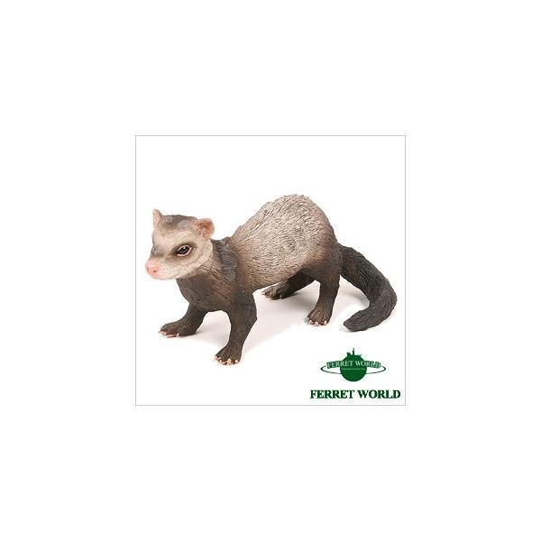 Ferret by Safari Ltd/toy/265929/FERETT 