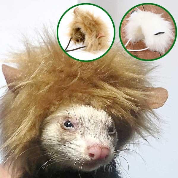 フェレット アクセサリー Ferret ライオン帽子 ライオンキャップ 帽子 編みぐるみ おもちゃ 小動物 衣装 コスプレ ゆうパケットok 19022101 フェレットワールドヤフーショップ 通販 Yahoo ショッピング