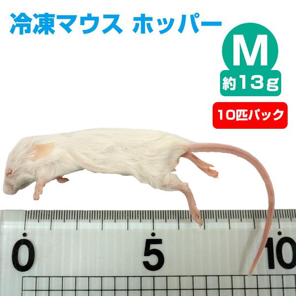 冷凍ピンクマウスM (約3cm) 1,000匹入り 両生類 猛禽類 爬虫類 肉食 肉 ヘビ トカゲ マウス ネズミ ラット 鼠 ねずみ エサ 餌  フード 通販