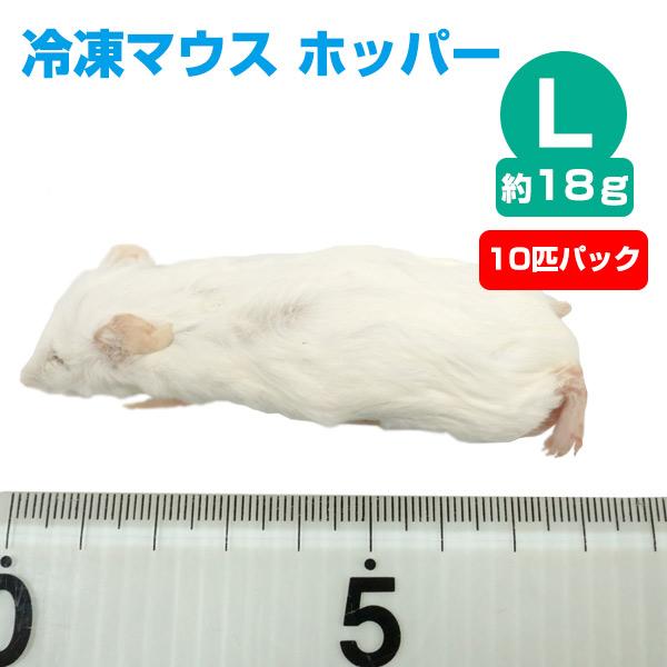 送料無料 国産冷凍マウス ホッパー100匹 | www.ddechuquisaca.gob.bo