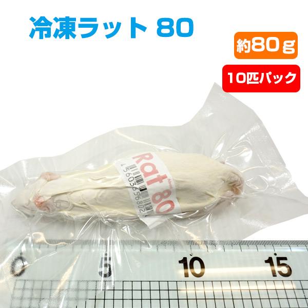 冷凍 冷凍ラット 80 約80g 10匹パック クール便発送 常温商品との同梱