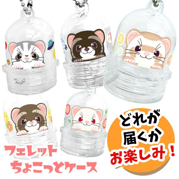 ・かわいいフェレットの絵柄が付いた小物ケース。・そのまま飾ったり、おやつを入れたり、うちの子の毛玉ケースにしてもかわいい。・ボールチェーン付きなのでとこでも持ち運びができます。・ねじって閉める蓋なので安心。・全5種で、何が届くかはお楽しみ。...