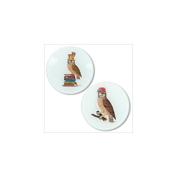 ガラストレー OWLフクロウ ふくろう 雑貨 オーナー雑貨 食器 インテリア 小皿 小物置き トレー