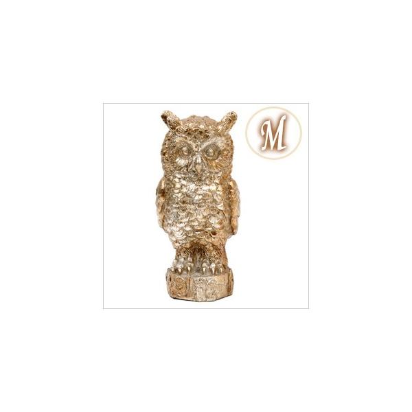 ^bNIE M tNE ӂ낤  G I[i[G IuWF ^bN u ^  W CeA MTCY