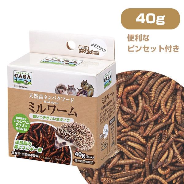  GT }J CASA Chj[@~[ 40g  T1 ʓ  sZbgt nlY~ K nX^[ X pi a NK 