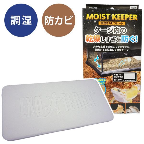 ঒ hJr hJrv[g CXgL[p[  T2 @ v[g x oNeA Z~bN NK 