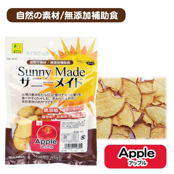   OW Tj[Ch Abv 20g   Y ETM nX^[ X bg `` pi XibN ۑ hܖY NK