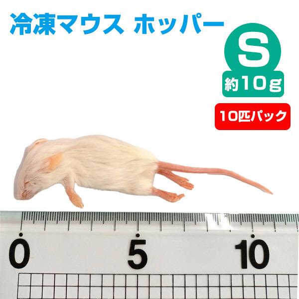 爬虫類 冷凍マウス エサ - ペットの人気商品・通販・価格比較 - 価格.com 爬虫類 冷凍マウス エサ - ペットの人気商品・通販・価格比較 - 価格.com
