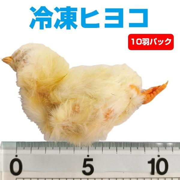 送料無料　冷凍ヒヨコ300羽 楽天市場】冷凍ヒヨコ12kg 約300羽分 フクロウ 鷹