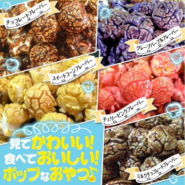 カラフルフレーバー100g 各10種 Gold Medal ポップコーン Buyee Buyee 日本の通販商品 オークションの代理入札 代理購入