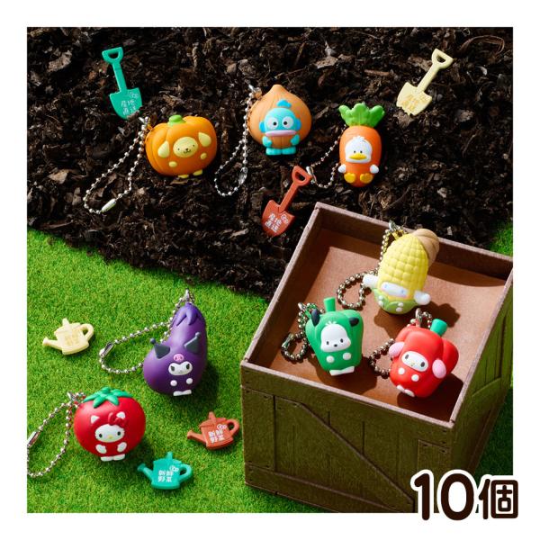 BANDAI（バンダイ） サンリオキャラクターズ ベジタブルビスケット