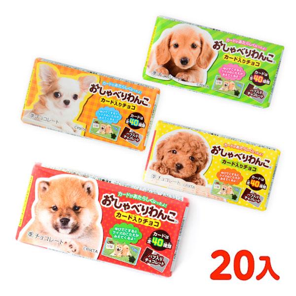 おしゃべりわんこ パフ入りチョコレート 20個装入 駄菓子 お菓子