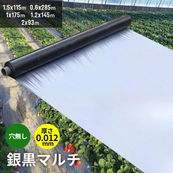 銀黒マルチ 長さ200m×厚さ0.012mm×幅150cm3本セット直送品(マルチシート 農業用マルチ 防草 シート 農業 マルチング 農業資材 家庭菜園  雑草対策