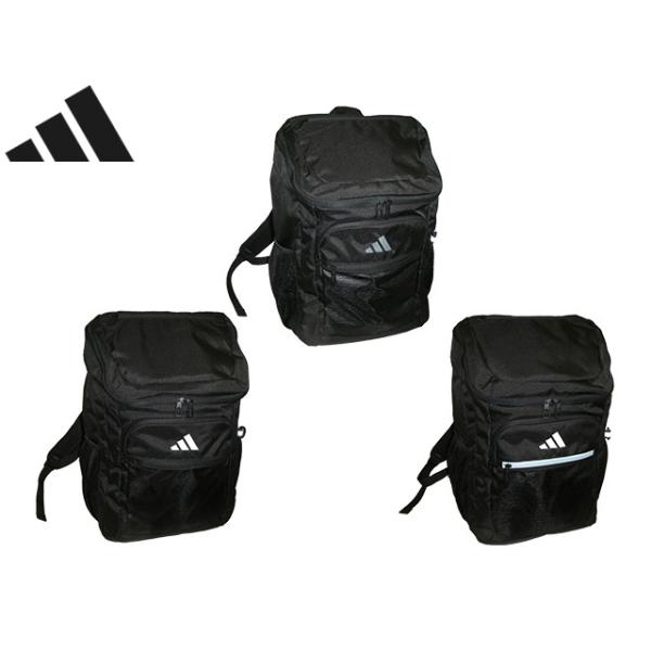 fgkawamura2006_adi-68562