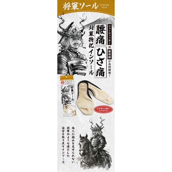 将軍ソール 中敷き 疲れない 腰のお悩み 関節のお悩み 土踏まず 母指球 下半身 疲労 運動 歩行 インソール 中敷き 衝撃吸収 骨盤 姿勢　アイデア　便利　商品