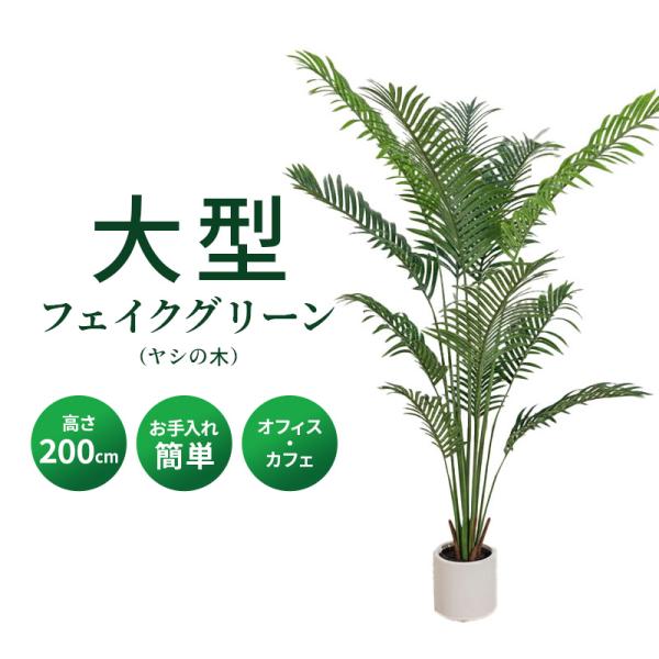 MINT ヤシの木 フェイクグリーン 光触媒フェイクグリーン 観葉植物