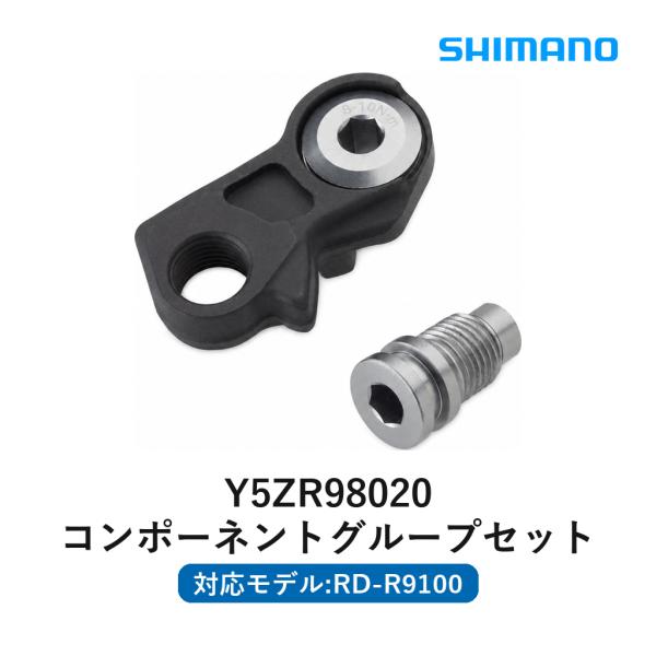 シマノ DURA-ACE RD-R9100 B軸組 ノーマル用 リアディレイラー 補修パーツ リペアパーツ 自転車用コンポーネント 交換用メンテナンス用品 シマノ純正品